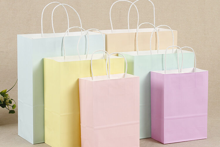 Macron color portable paper bag (1)