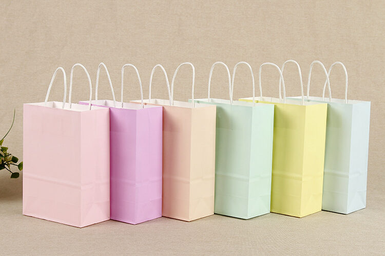 Macron color portable paper bag (6)