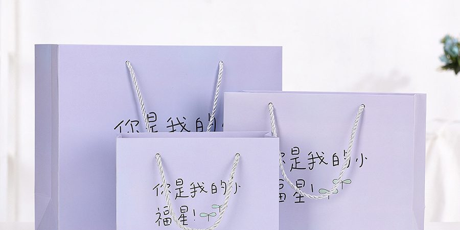 Printed small fresh shopping paper bag (6)