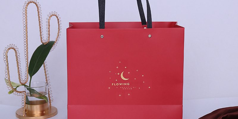 Simple and thick shopping paper bag wholesale (5)