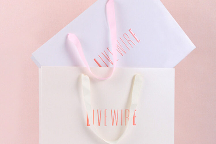 Customized Clothing Shopping Portable Gift Bag (2)