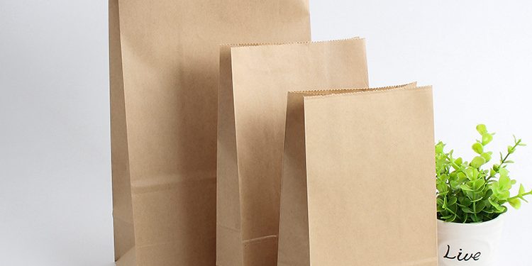 Factory Coated Oil-Proof Kraft Paper Bag (3)