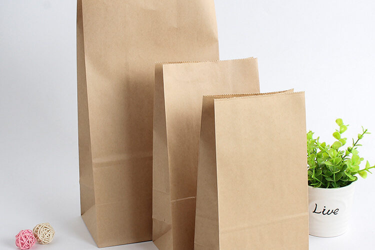 Factory Coated Oil-Proof Kraft Paper Bag (3)
