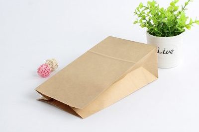 Factory Coated Oil-Proof Kraft Paper Bag (5)