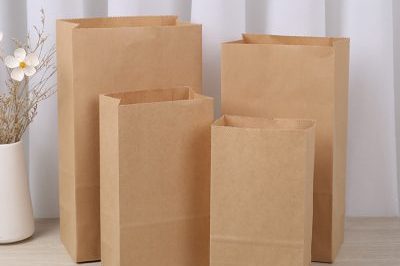 Spot Wholesale Takeaway Food Packaging Bag (5)