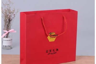 White Cardboard Hand Kraft Paper Bag (5)