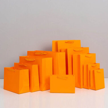 Custom logo gift shopping paper bags for retail and brand packaging