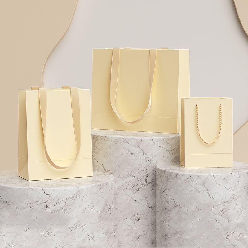 High-quality luxury gift shopping paper bags for premium retail