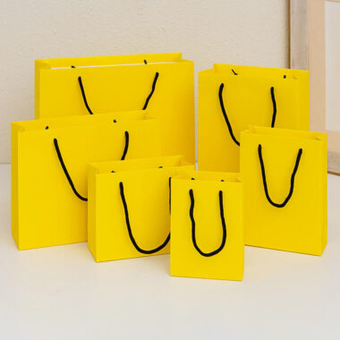 Luxury eco-friendly kraft gift shopping paper bags for premium packaging