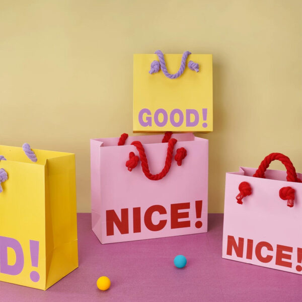 Eco-friendly luxury boutique shopping paper bags for clothing brands