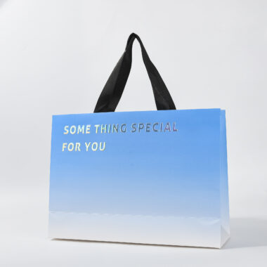 Eco-friendly luxury boutique shopping paper bags for clothing brands