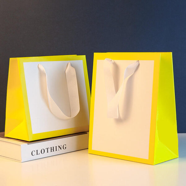 Luxury gift shopping paper bags for premium retail packaging