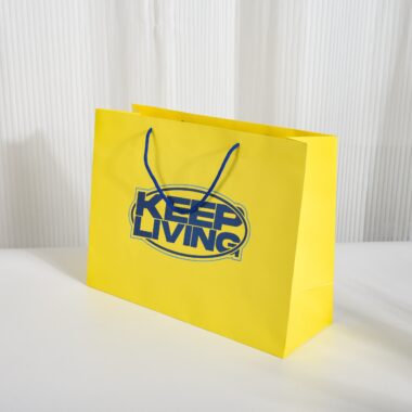 Custom printed luxury shopping paper bags for clothing brands