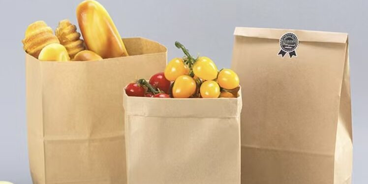 Eco-friendly kraft paper bags for sandwiches and bread