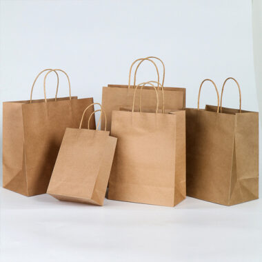 Eco-friendly reusable shopping paper bags for retail and grocery use