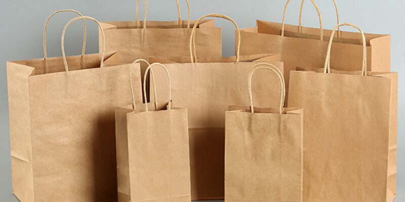 Eco biodegradable kraft paper bags for food and clothing