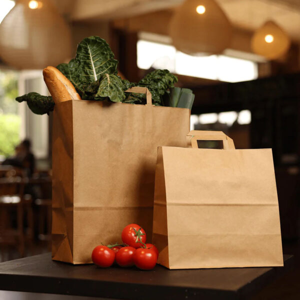 Biodegradable brown kraft paper bags for grocery and gift packaging