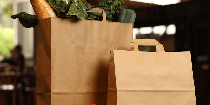 Biodegradable brown kraft paper bags for grocery and gift packaging